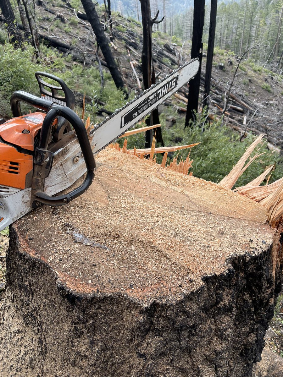dirtdiver70's tweet photo. Well spent a week out in Grants Pass Oregon at the Art of Felling Timber learning how to cut large diameter trees. We were working a fire scar from a couple years ago that damaged a lot of trees. https://t.co/qgAe8xpkeq