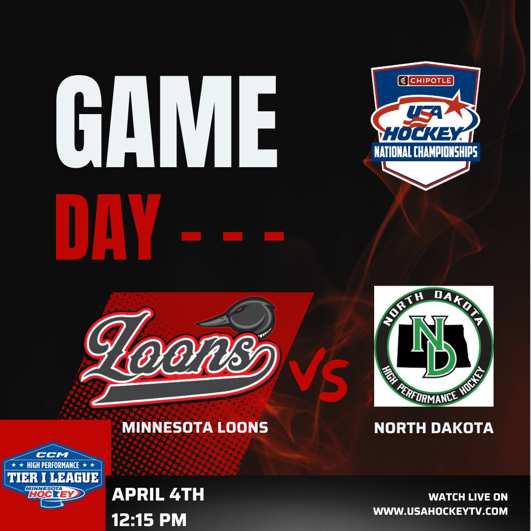 D2 Loons 14U Tier 1 Hockey tweet media