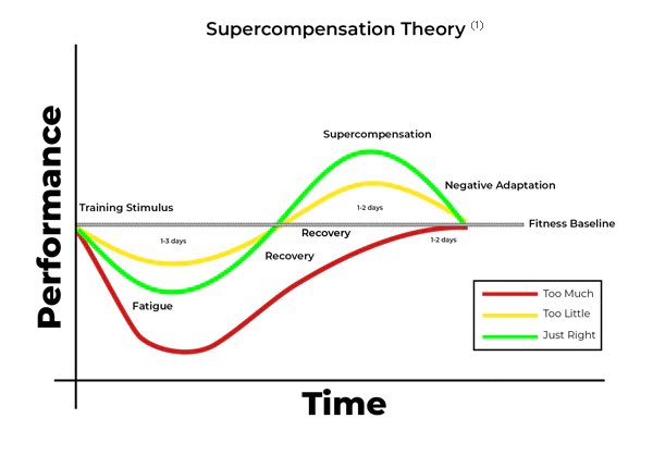 Tanner Bercier tweet media