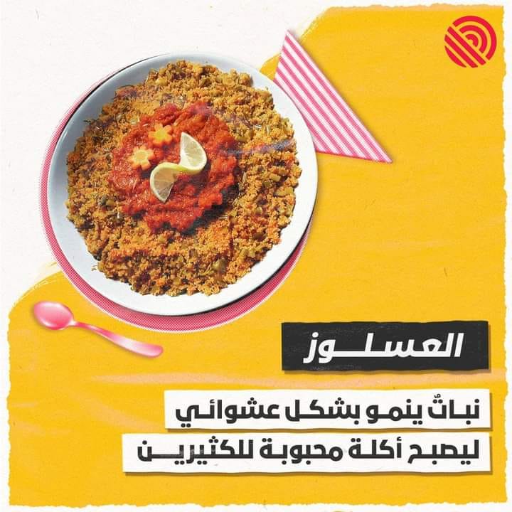 ElkulLibya's tweet photo. العسلوز من الأكلات الشعبية المفضلة لدى كثيرين خاصة في الغرب الليبي. وهو نبات ينمو بشكل عشوائي في المزارع والأودية في مناطق عدة مثل "الجبل الغربي" وترهونة وورشفانة وضواحي العاصمة طرابلس. ويضاف إلى الكسكسي. 
يتم استخدام كلمة #عسلوز أيضا كرمز للهاتف إن استلزم الأمر. https://t.co/TqwJrqbnDt