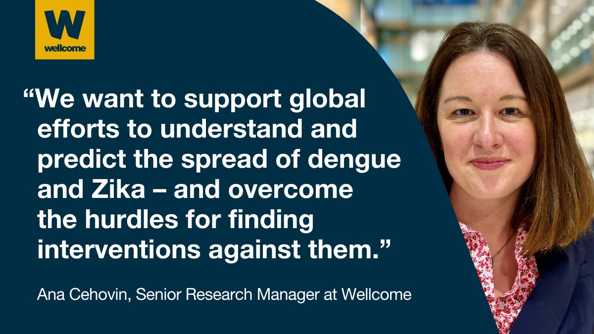 We're funding teams to improve understanding of dengue and Zika spread, immunity and clinical outcomes and to help implement effective interventions.

💡 Duration: three to five years
💰 Level: up to £5 million
🗓 Application deadline: 25 June 2024
wellc.me/4ag5vm6