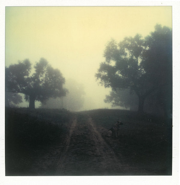 “L'uomo non può tornare mai allo stesso punto da cui è partito, perché, nel frattempo, lui stesso è cambiato. Tutto quello che siamo lo portiamo con noi nel viaggio” ✒️📷 Andrei Tarkovsky