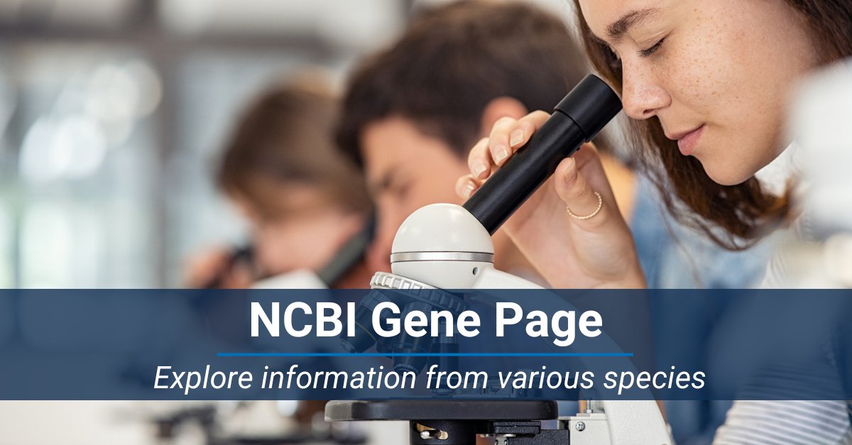 Attention biology students! NCBI has resources to help with your next research project. For example, you can explore information from various species on the NCBI Gene page! Learn more: ow.ly/630g50QplRj