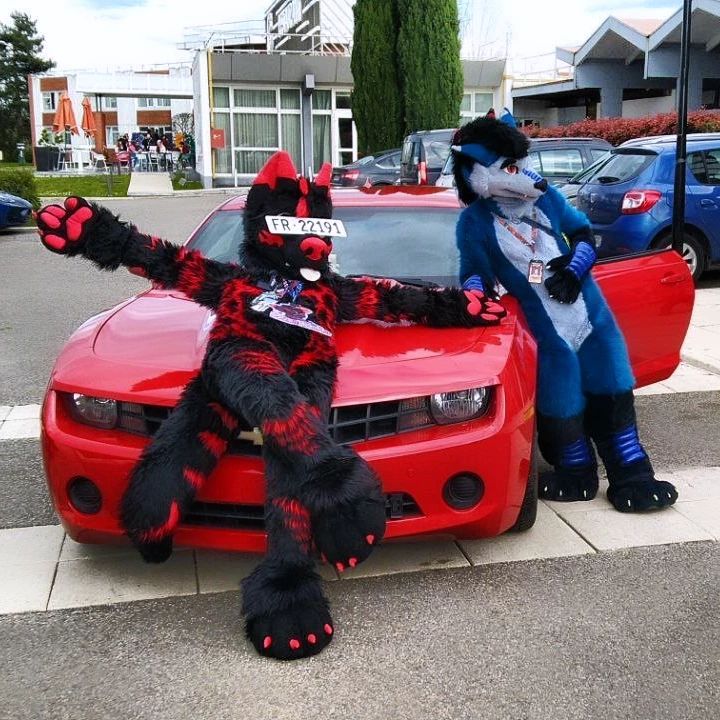 Who's the pretty boy here ?! 👀
Qui est le beau gosse ici ?! 👀

🐺💙 : <a href="/TaibronWolf/">Taibron</a>
📸 : <a href="/Rafi_Kitsune/">Rafi Sky Kitsune</a> and <a href="/Derriaxa/">GL Derriaxa</a>

#furry #fursuit #fursuiter #fursuiters #furryfandom #fursona #furrycommunity #furryphoto #furryphotography