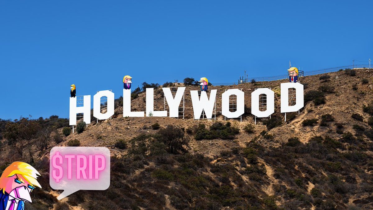 TrippyTrumpz's tweet photo. Spotted in the wild! 👀

#TrippyTrumpz #Hollywood #USA https://t.co/Cl7GwOG83i