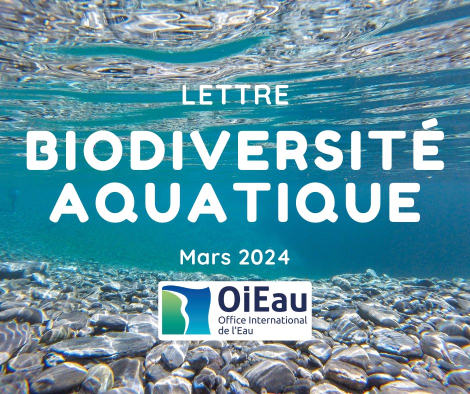 Chaque mois, ds la Lettre #BiodivAqua, un panorama des actus sur la #Biodiversité #Aquatique: insolite, science, réglementation, #formation, publicat°, etc. Ce mois-ci : Le retour de la loutre ▶️Lire la #LBA: ow.ly/ryI350R8iUw