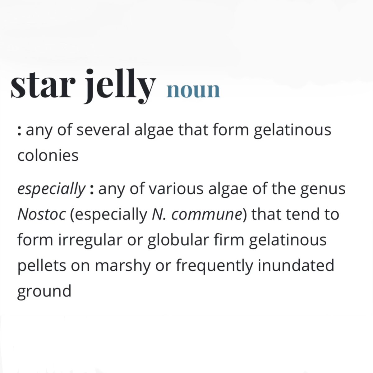 💧💧💧We are over the moon to announce our new single STAR JELLY is out in the world 🪼🩵🩵🪼🩵 This song has been brewing in our cauldrons for so long and we are so excited to finally share it with you.💧🌱💧🌱LISTEN NOW WHEREVER YOU LISTEN TO MUSIC 💧💧💧