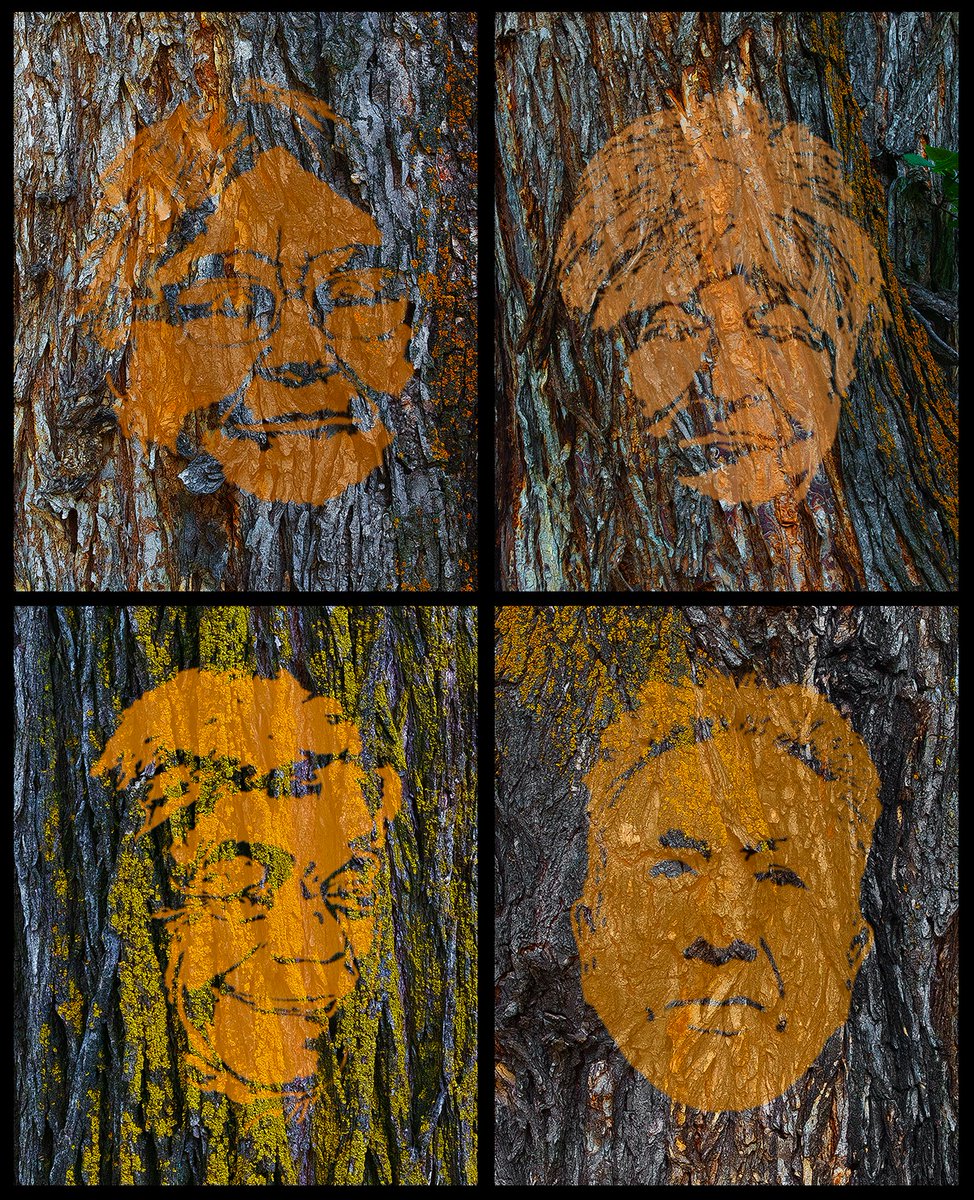 More Alberta trunks photographed by Lewis with portrait images of Residential School survivors (UL – Kathleen), (UR – Emily), (LR – Sonny) and (LL – Don, Lewis’ Dad). These trunk images will be used in the Spirit Circle component of The Forest – Common Ground ® project along…