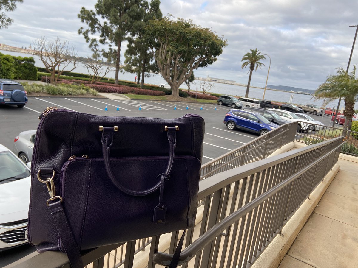 Thrilled for my first trip to #SanDiego for the @ACESEditors Conference. Today, I look forward to sessions on the promise and peril of #AI and what’s new in the AP Style Guide. #ACESConference #PurpleBagAdventures