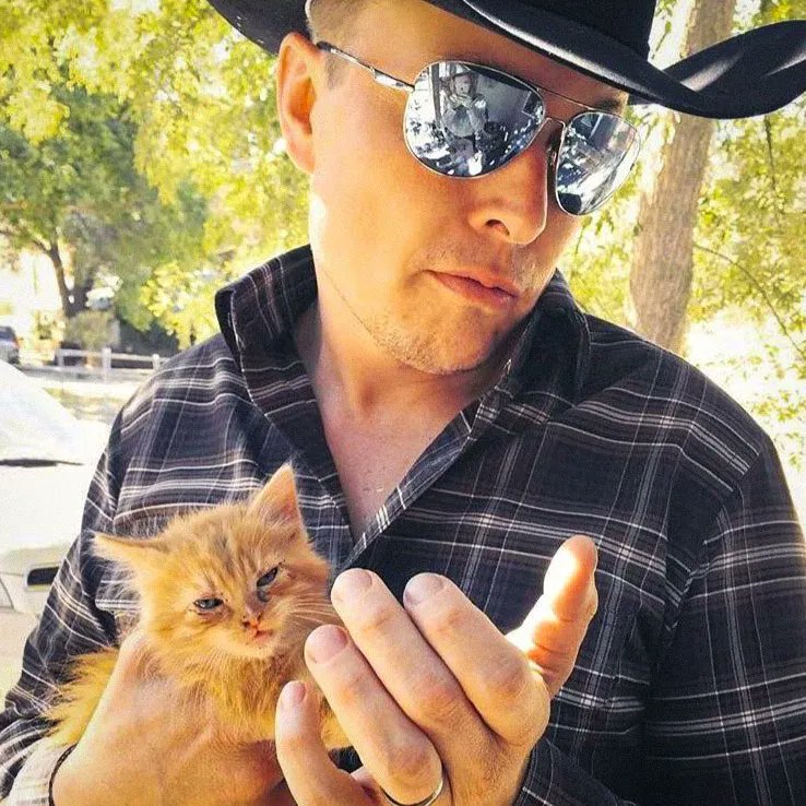 AICATBSC's tweet photo. @elonmusk Cat Lovers https://t.co/rGIwttdvVo