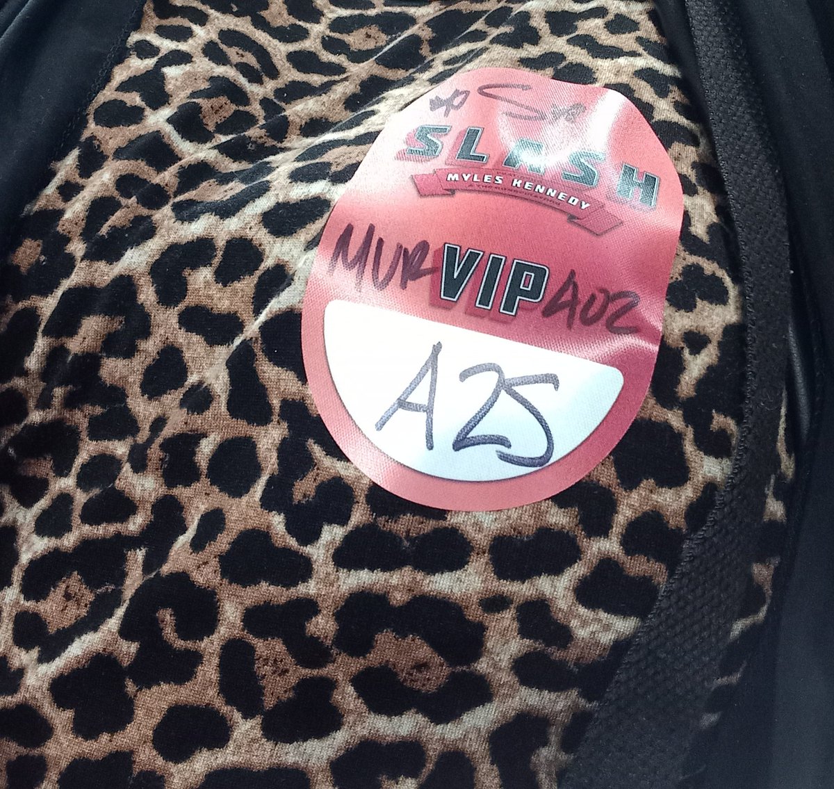 Thank you <a href="/Slash/">Slash</a> for a great night it was bloody amazing ❤️