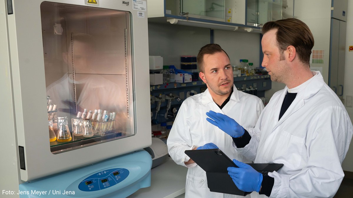 Researchers @microverse_exc @papenfortlab @UniJena have discovered that tiny #RNA molecules play a decisive role in viral infections of #bacteria. They have now published their findings in the journal @cellhostmicrobe. ➡️ uni-jena.de/en/240404-klei…