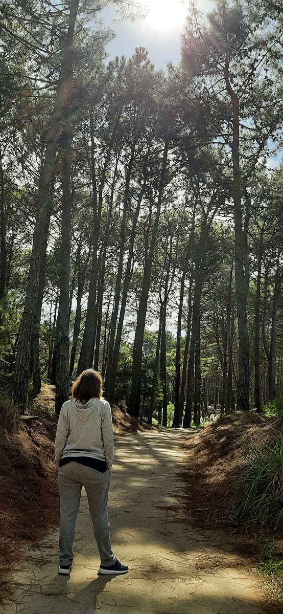 Gracias pinamar por tanto. Aprendí muchas cosas buenas y malas. Ya es tiempo de cambiar 🙏💕 Buen día...