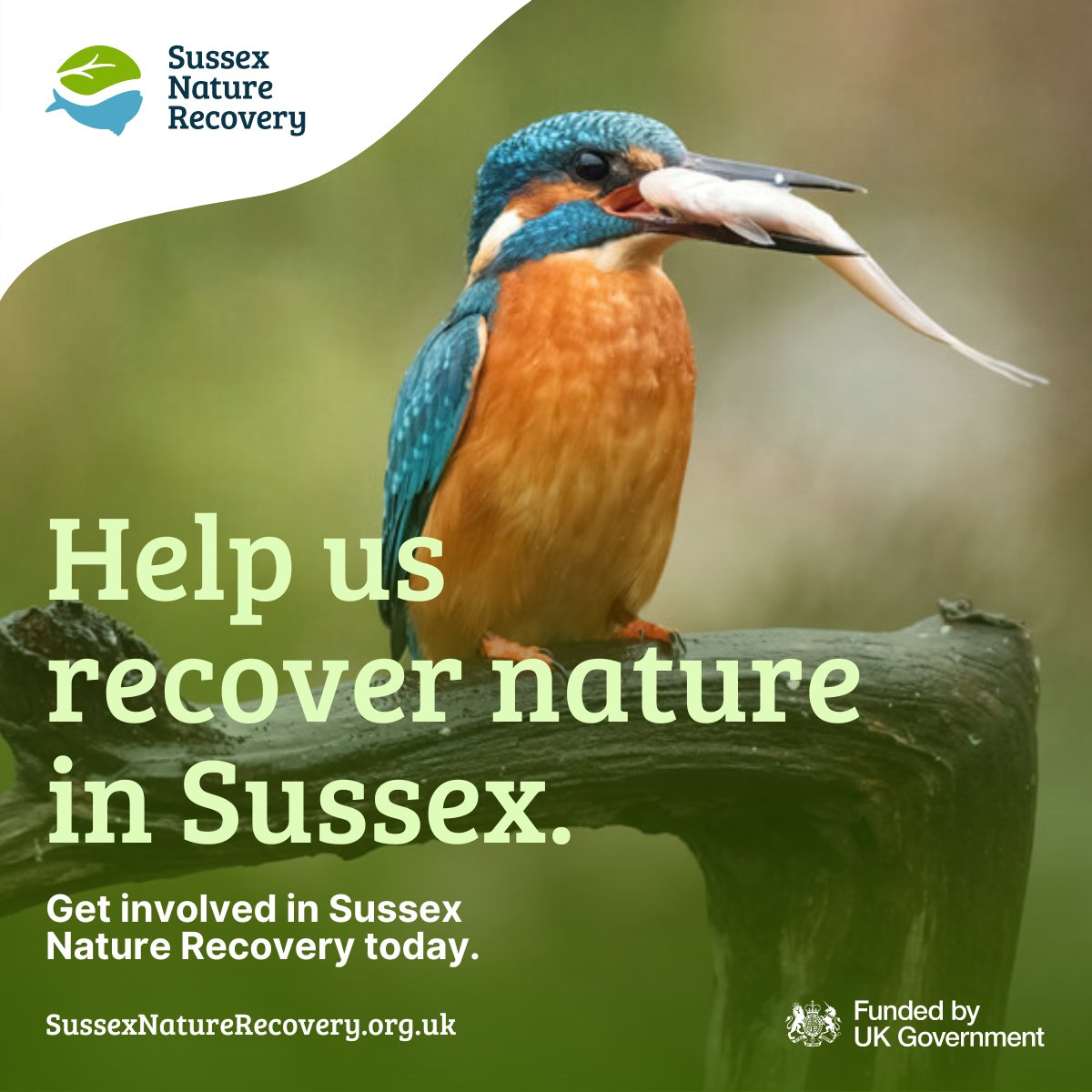 Sussex Nature Recovery is seeking the feedback of Adur and Worthing residents that are passionate about nature and the environment to understand what changes they have noticed locally. To find out more and complete the survey, visit: surveymonkey.com/r/RKB8RSM