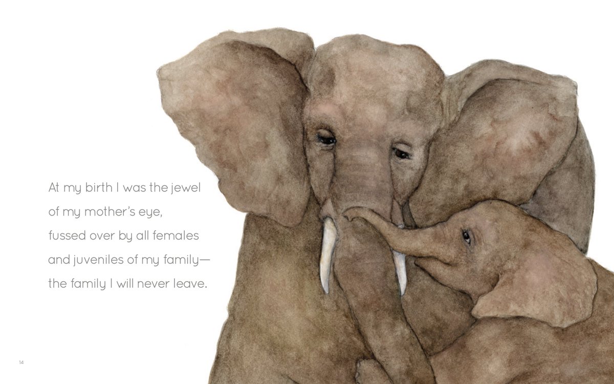 CreativeCoMN's tweet photo. "At my birth I was the jewel of my mother’s eye, fussed over by all females and juveniles of my family— the family I will never leave."
I Am Elephant by J. Patrick Lewis and Miriam Nerlove
https://t.co/r24zieh1bd
#NationalPoetryMonth #childrensbooks #poetry #CreativeEditions https://t.co/i2saVKnRbr