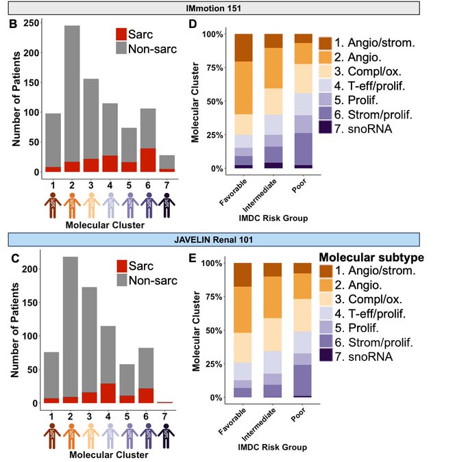 Renee Maria Saliby: Our paper 'Impact of RCC molecular subtypes on immunotherapy and targeted therapy outcomes' is now published in Cancer Cell 4 Image