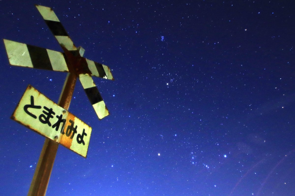 トリミー@駅メモ tweet media