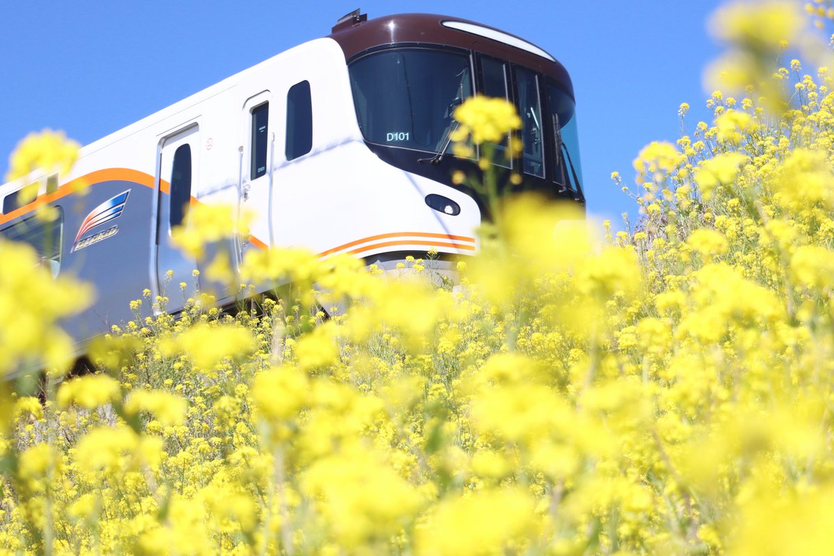 トリミー@駅メモ tweet media