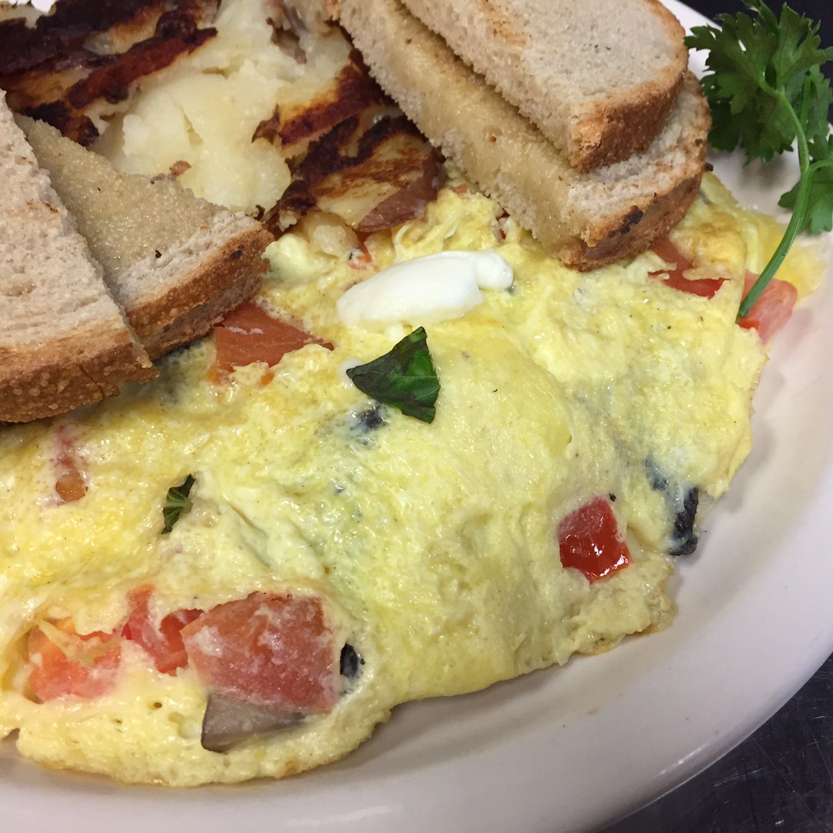 Our breakfast special this weekend is a Caprese Omelet! Enjoy one of our famous three egg omelets made with diced tomato, fresh basil, and fresh mozzarella cheese.   #capreseomelet #breakfastspecial #weekendspecial #omelets #breakfast #jakeseatery #newtownpa #richboropa