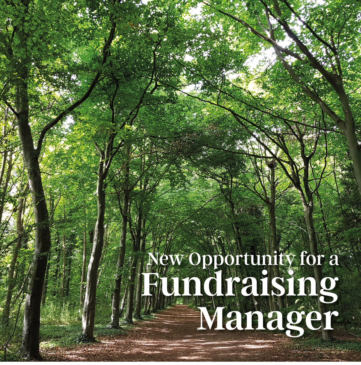 Fantastic new opportunity for a seasoned fund raising professional to join our team. If you love Cambridge this is the opportunity of a life time for your work to have a significant and lasting impact for nature and the environment in Cambridge cambridgeppf.org/fundraiser-job…