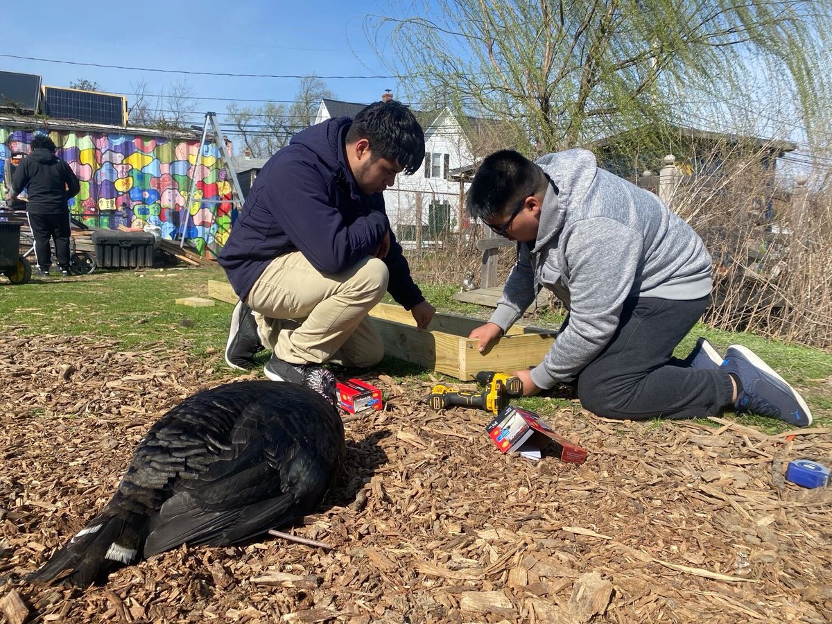 Join us for Open Volunteer Days at #FilbertStreetGarden, every first Sunday, 10am-12pm! Next date April 7. All are welcome, including children (with supervision)! Full details: facebook.com/events/s/open-…