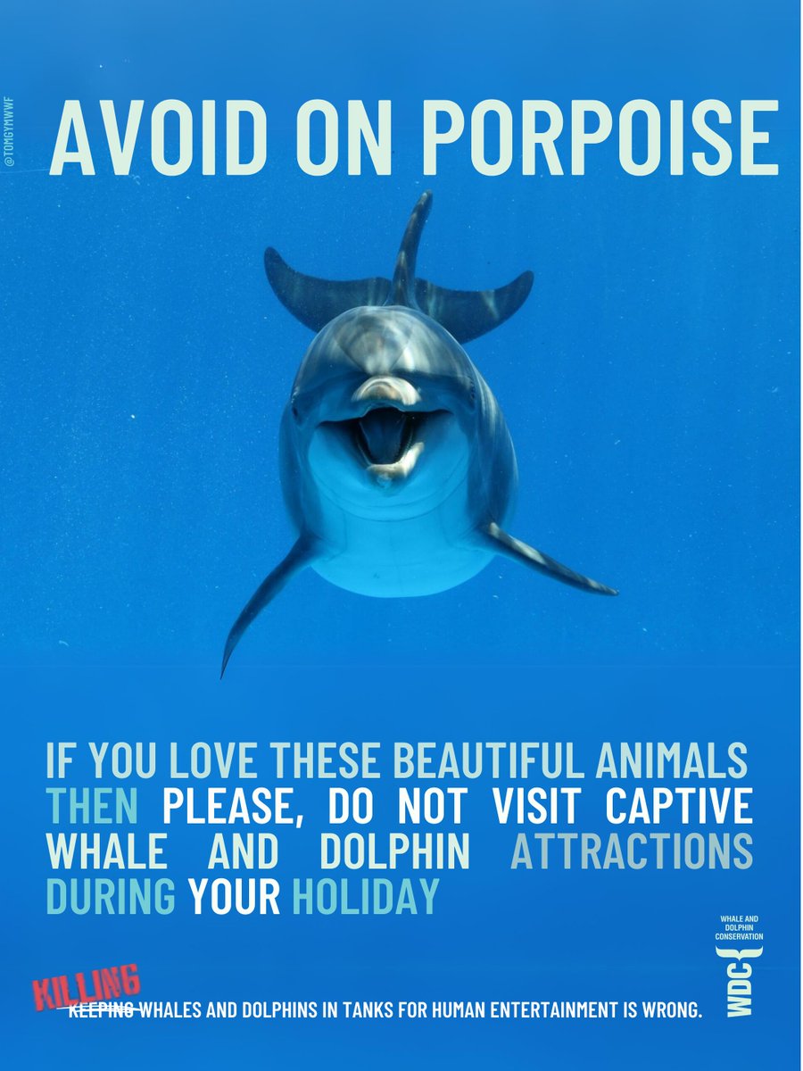 WDC3   

#DontGoToTheShow | #EndCaptivityForever |
@whalesorg | @OneMinuteBriefs | #Orca | #Dolphins | #Porpoise | #Conservation | #Whale