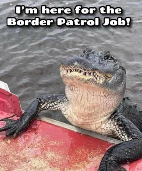 We really need Nile Crocodiles and Hippos. Problem solved! 🐊🦛#BorderCrisis #BorderSecurity