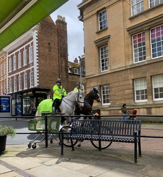 Fairford and Huntley were in Gloucester City Centre today which was very busy with people enjoying little bursts of sunshine! We met lots of people who came to say hello, assisted with a domestic incident & even got caught on camera by one of our fans! #GoodBoys @GlosCityPolice