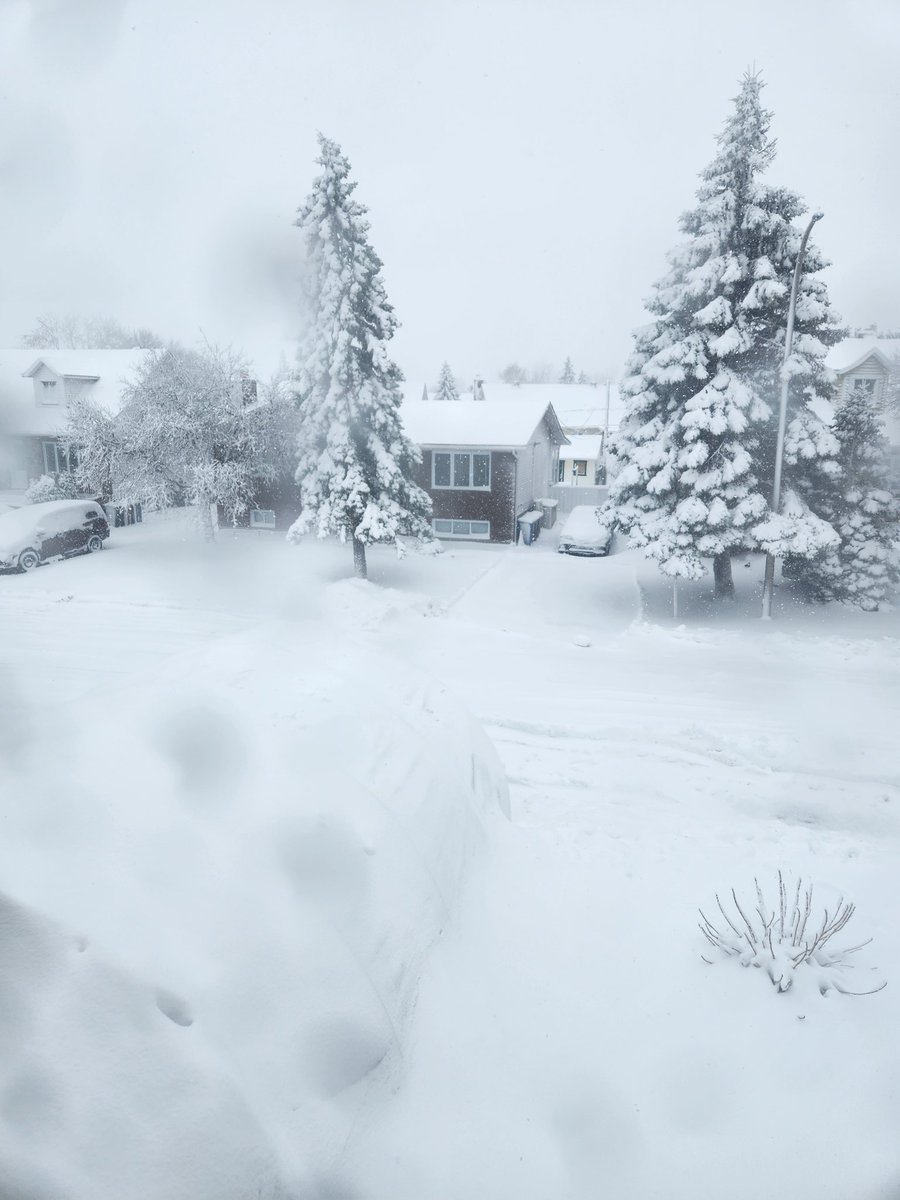 Lovely spring morning here in Montreal!