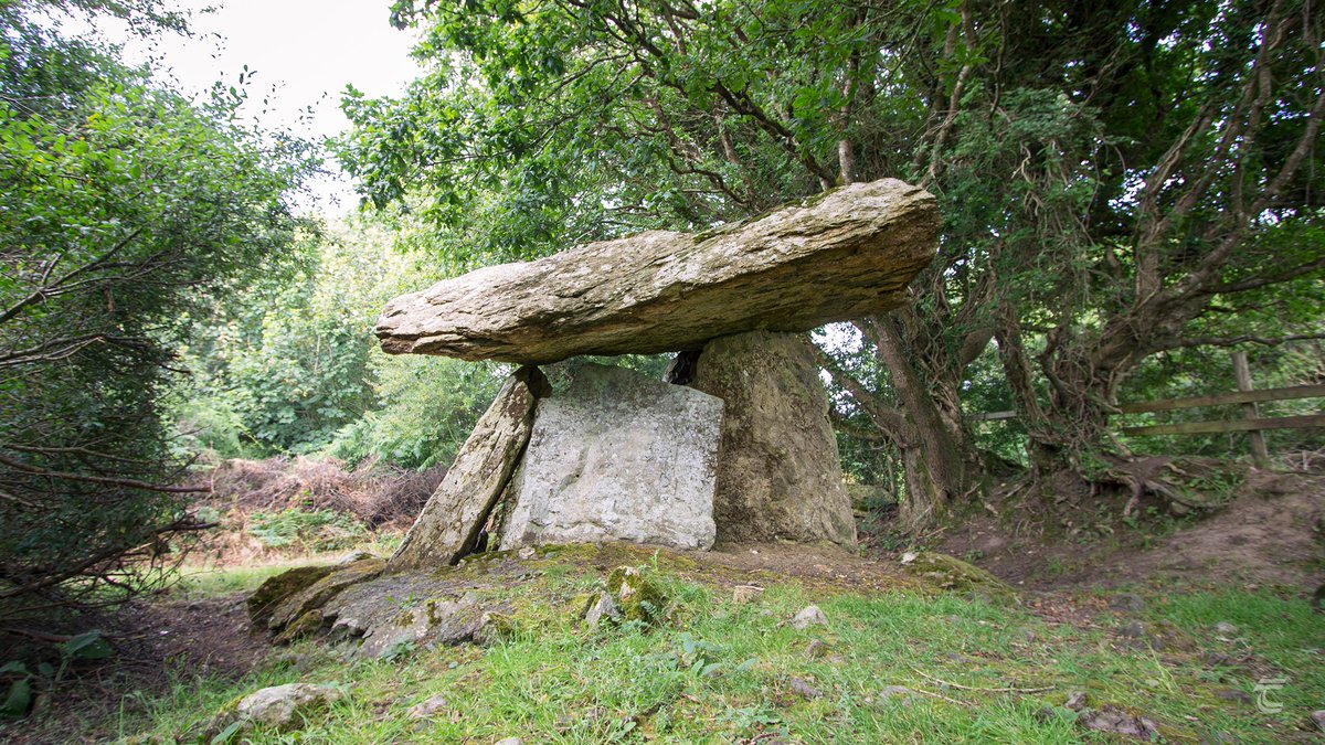 The Gaulstown Dolmen • Waterford This Neolithic portal tomb known as the Gaulstown Dolmen likely dates to around 3800–3500 BC. It is beautifully set in an atmospheric glade at the foot of a hill known as Cnoc na Cailligh.