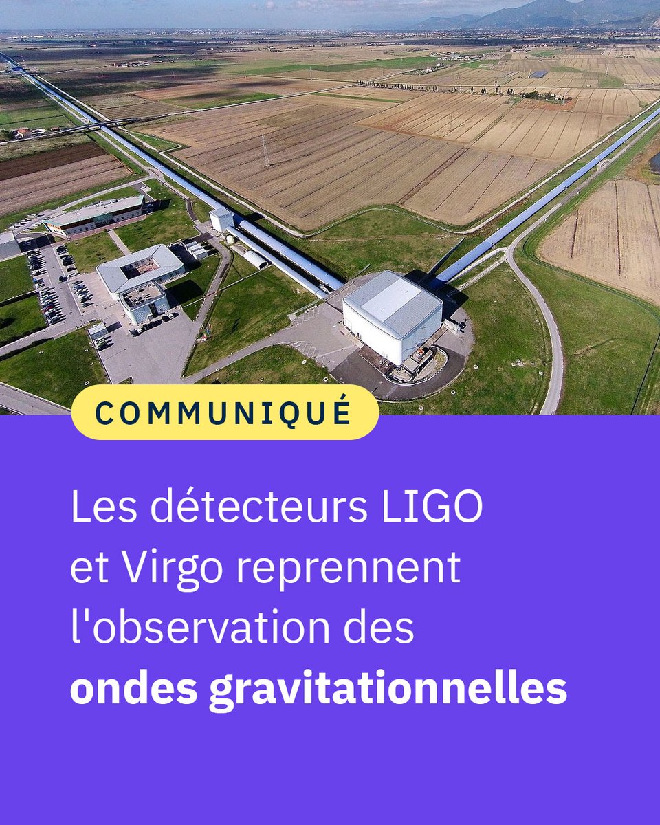 #Communiqué🗞️Les détecteurs @LIGO et @ego_virgo reprennent l'observation des ondes gravitationnelles. Avec cette nouvelle campagne d'observation, la collaboration pourrait collecter en tout plus de 200 événements d'ondes gravitationnelles. in2p3.cnrs.fr/fr/cnrsinfo/le…
