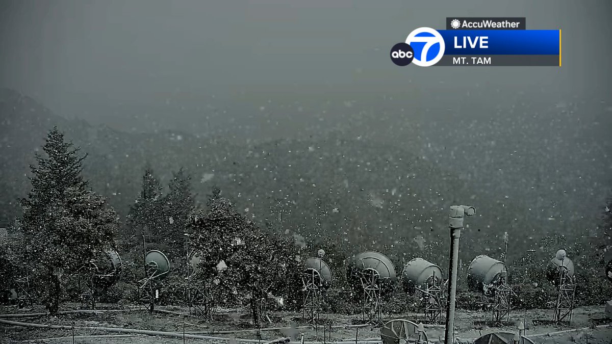 Mt. Tam is a winter wonderland this morning with snow falling! Our peaks could see several inches of snow throughout the day
