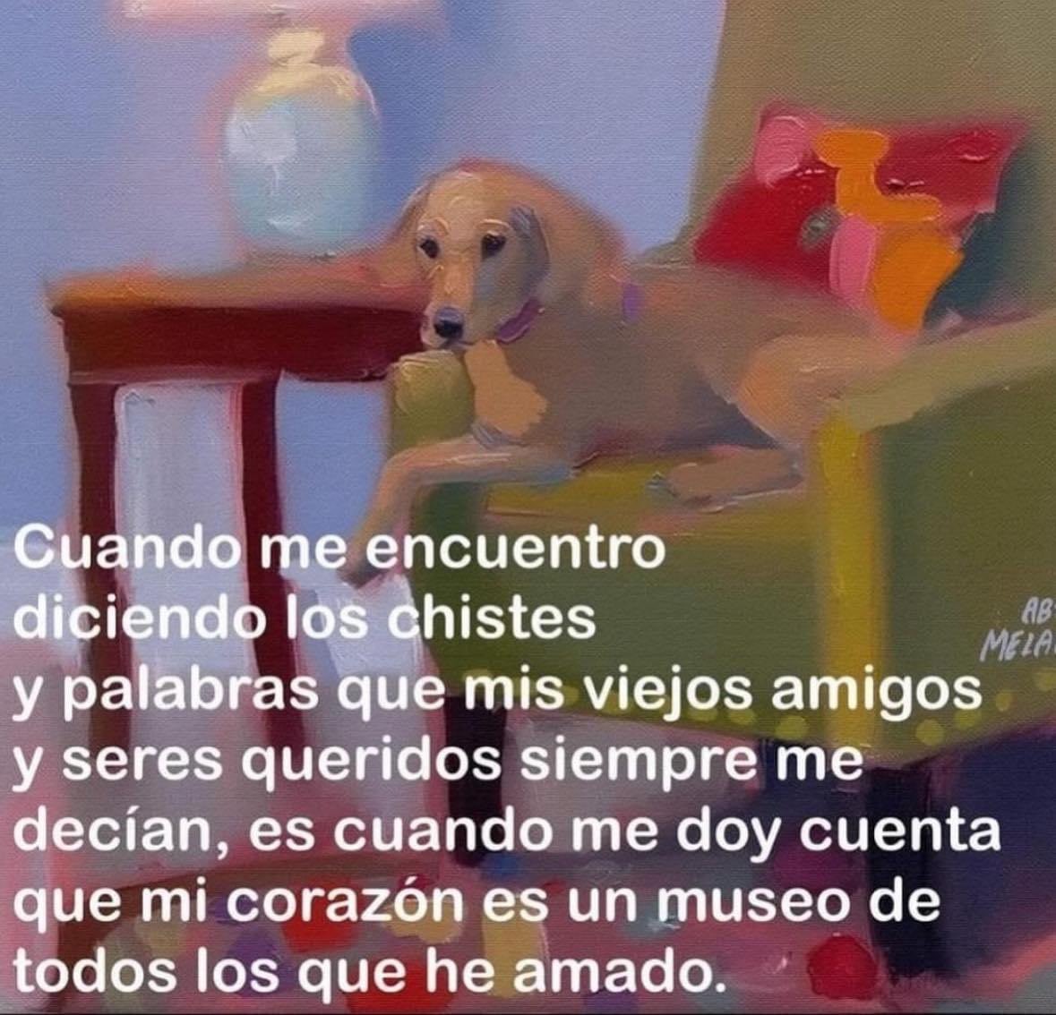 Dilo con perritos (@diloconperritos) on Twitter photo 