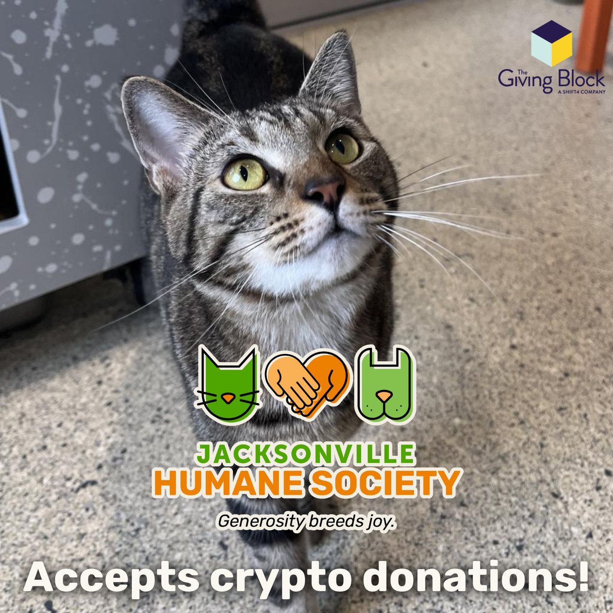 Did you know you can donate crypto to JHS? With help from 
@thegivingblock, JHS can accept donations from over 80 different cryptocurrencies! Help us change shelter animals' lives by donating today: buff.ly/3u30HAL 🐶💙😸
