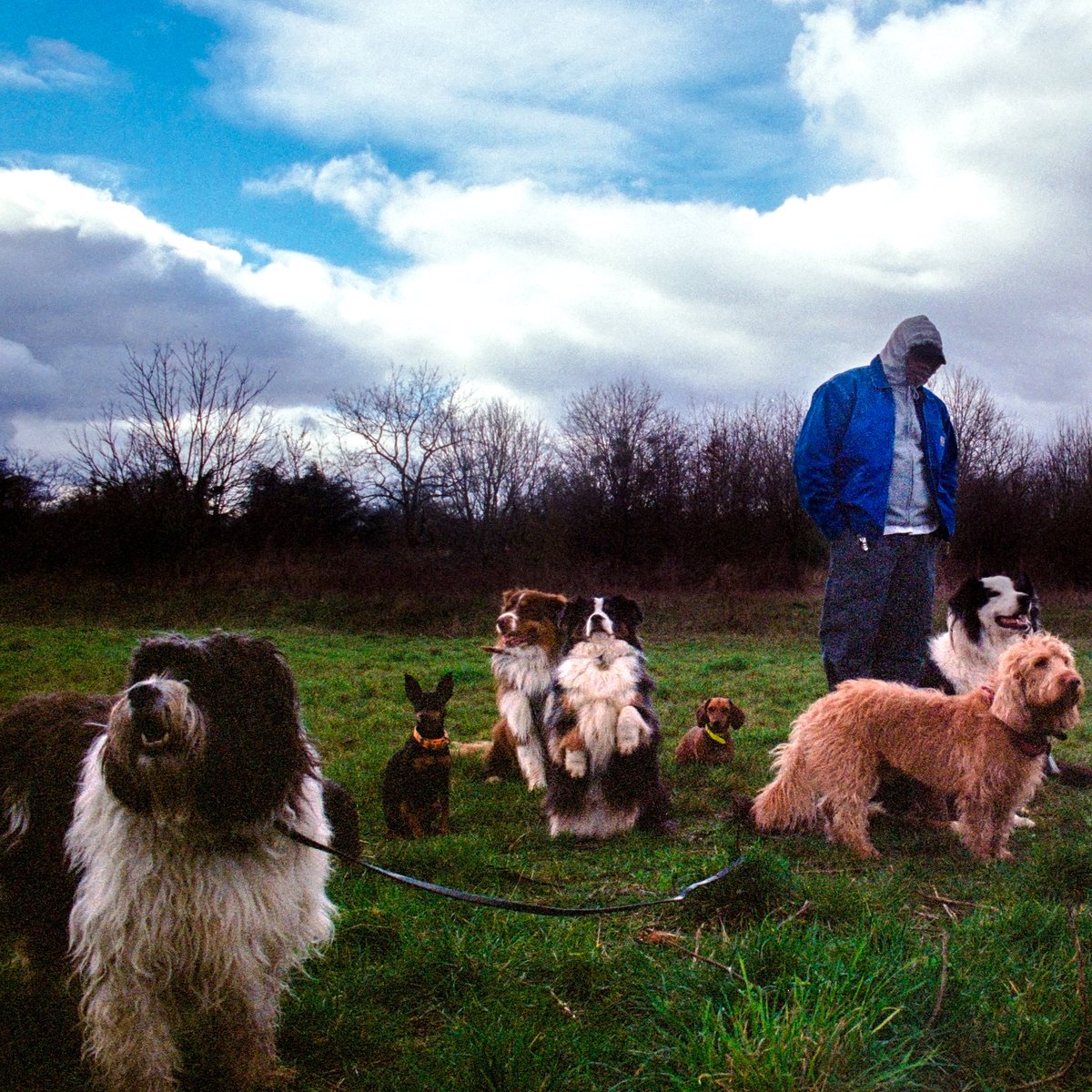 AnNieAdaa's tweet image. "DOGMAN" est OUT ‼️ 

linktw.in/joLuJd

C’est le dernier extrait du projet, j’espère qu’il va résonner en vous comme il l’a fait pour moi. Ce morceau c’est pour les chiens qui cherchent encore les clés de la maison. 

"JUSTE UN PEU DE CIEL*" DISPONIBLE LE 18 AVRIL ‼️‼️