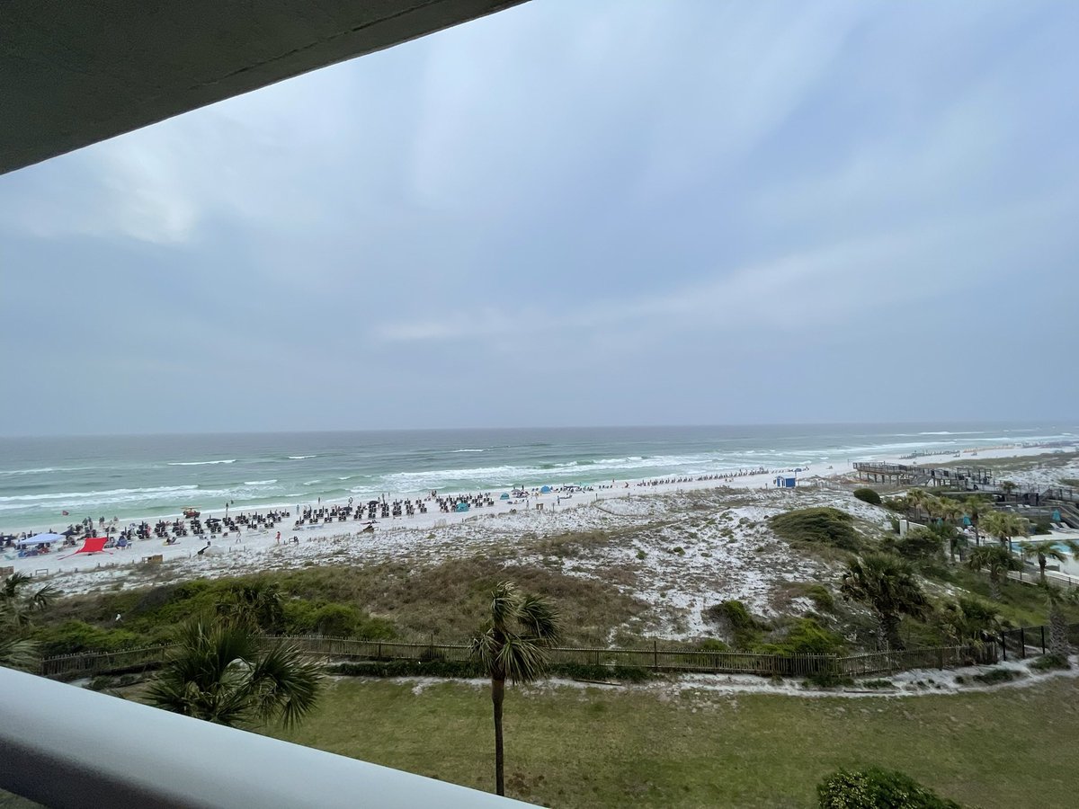 Jeff Louella tweet media