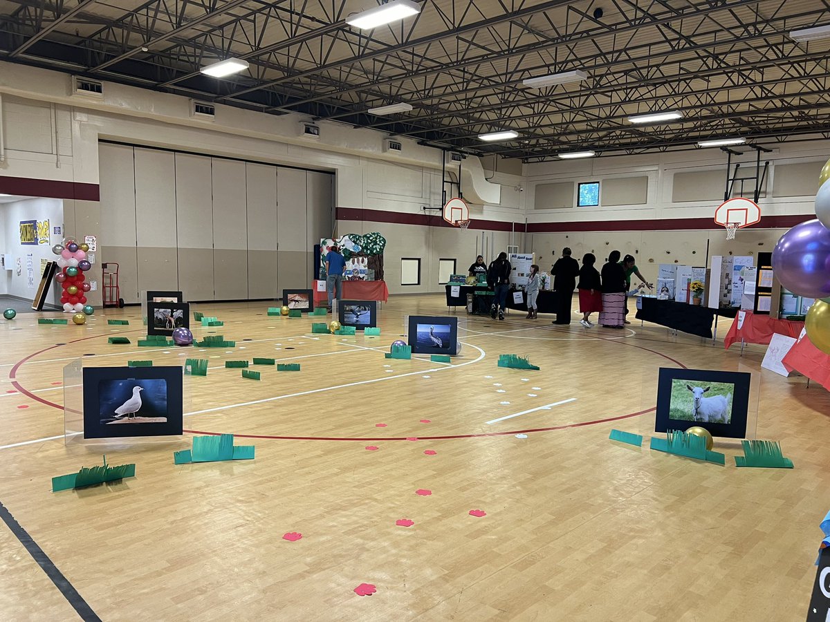 @Jenkins_Jaguars campus G/T Expo was a hit! Their G/T projects ranged from car races to butterflies, with anything and everything in between! @SpringISD_AdvAc @SpringISD @SpringISD_Super @SISD_CoA @LaTracyHarris