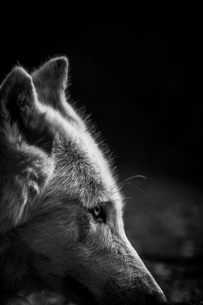 David Menassé tweet media