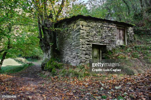 Nao Casanova tweet media