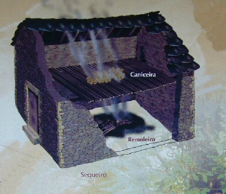 Nao Casanova tweet media