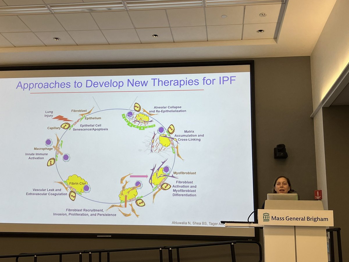 Massachusetts Thoracic Society (MTS) (@massthoracic) on Twitter photo Dr. Rachel Knipe @rsknipe of <a href="/HarvardPulm/">Harvard Pulmonary & Critical Care Fellowship</a> <a href="/MGH_PCCM/">MGH Division of Pulmonary & Critical Care Medicine</a> <a href="/harvardmed/">Harvard Medical School</a> discussing “Biological Mechanisms Underlying Interstitial Lung Disease”
Check out the Knipe Lab! ➡️ massgeneral.org/medicine/pulmo… Dr. Rachel Knipe @rsknipe of <a href="/HarvardPulm/">Harvard Pulmonary & Critical Care Fellowship</a> <a href="/MGH_PCCM/">MGH Division of Pulmonary & Critical Care Medicine</a> <a href="/harvardmed/">Harvard Medical School</a> discussing “Biological Mechanisms Underlying Interstitial Lung Disease”
Check out the Knipe Lab! ➡️ massgeneral.org/medicine/pulmo…