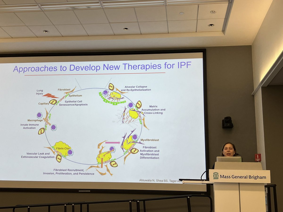 Dr. Rachel Knipe @rsknipe of @HarvardPulm @MGH_PCCM @harvardmed discussing “Biological Mechanisms Underlying Interstitial Lung Disease” Check out the Knipe Lab! ➡️ massgeneral.org/medicine/pulmo…