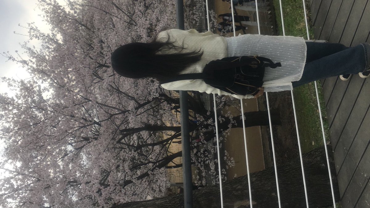 오늘 서울숲 다녀왔다 ~ 🌀
벚꽃 쩌러줘 . . .