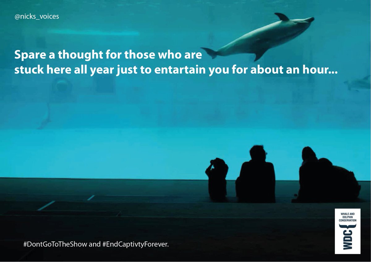 <a href="/OneMinuteBriefs/">One Minute Briefs ⏱️</a> Create posters for UK airport departure lounges that convince UK holidaymakers not to visit captive whale and dolphin attractions while they are abroad. #DontGoToTheShow.
<a href="/whalesorg/">Whale and Dolphin Conservation (WDC)</a>
#EndCaptivityForever