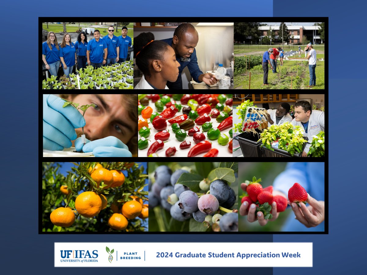 Big shoutout to all the incredible grad students who are driving forward the science of plant breeding! Your dedication and hard work are shaping the future of agriculture and making a real difference in feeding our world. Thank you for your invaluable contributions!