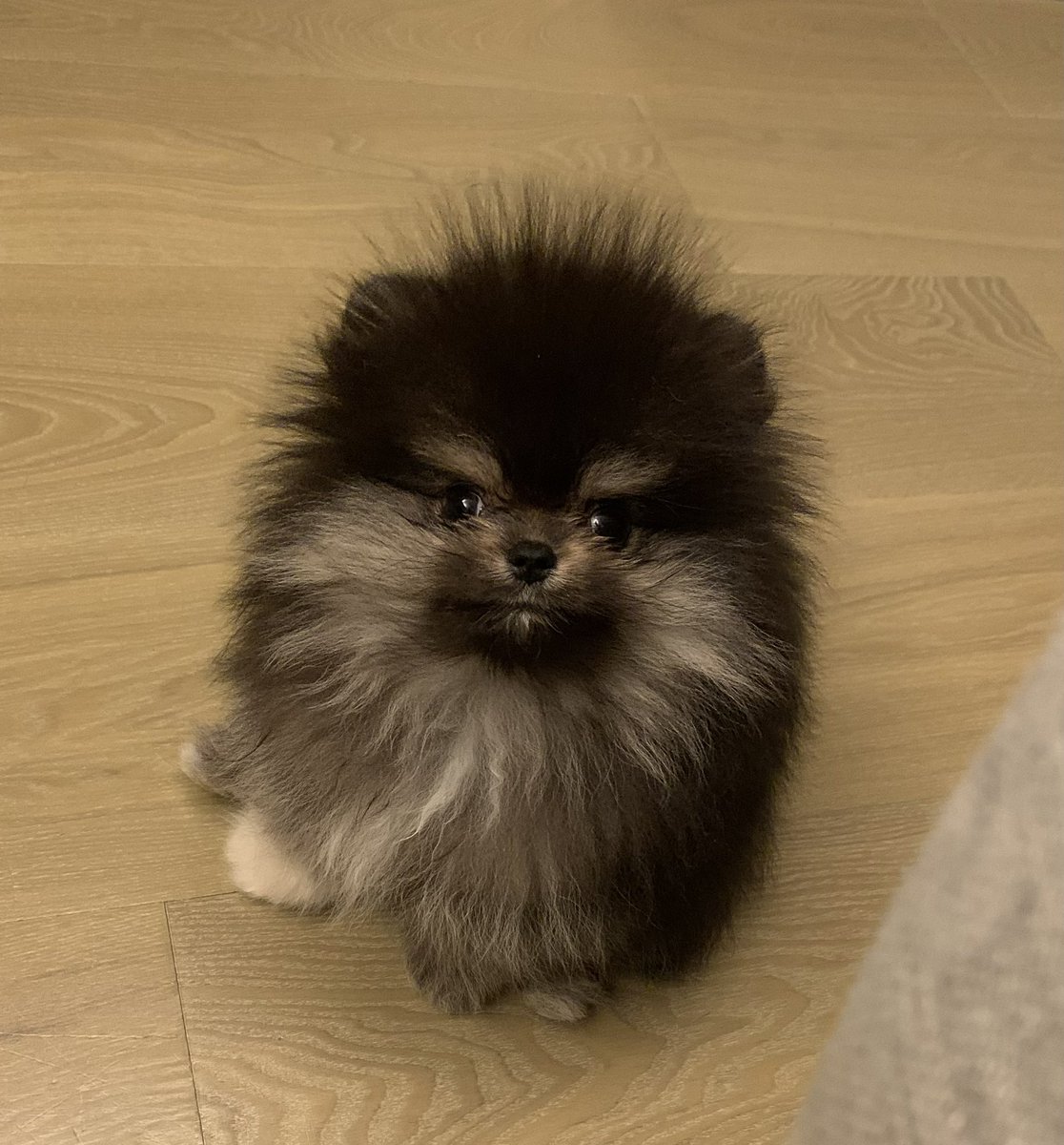 BOBAOPPA WILL FLIP 📈

DOGE
SHIBA
DOG WITH HAT
MOCHICAT
MYRO

<a href="/bobaoppa/">Bobaoppa</a> <a href="/machibigbrother/">Machi Big Brother</a>