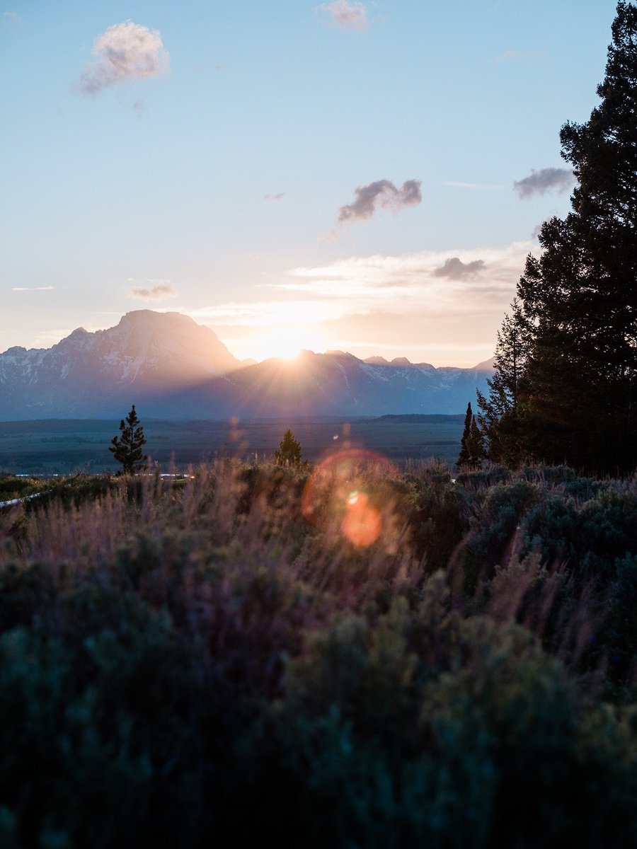 nev_in_color's tweet image. wander out west.