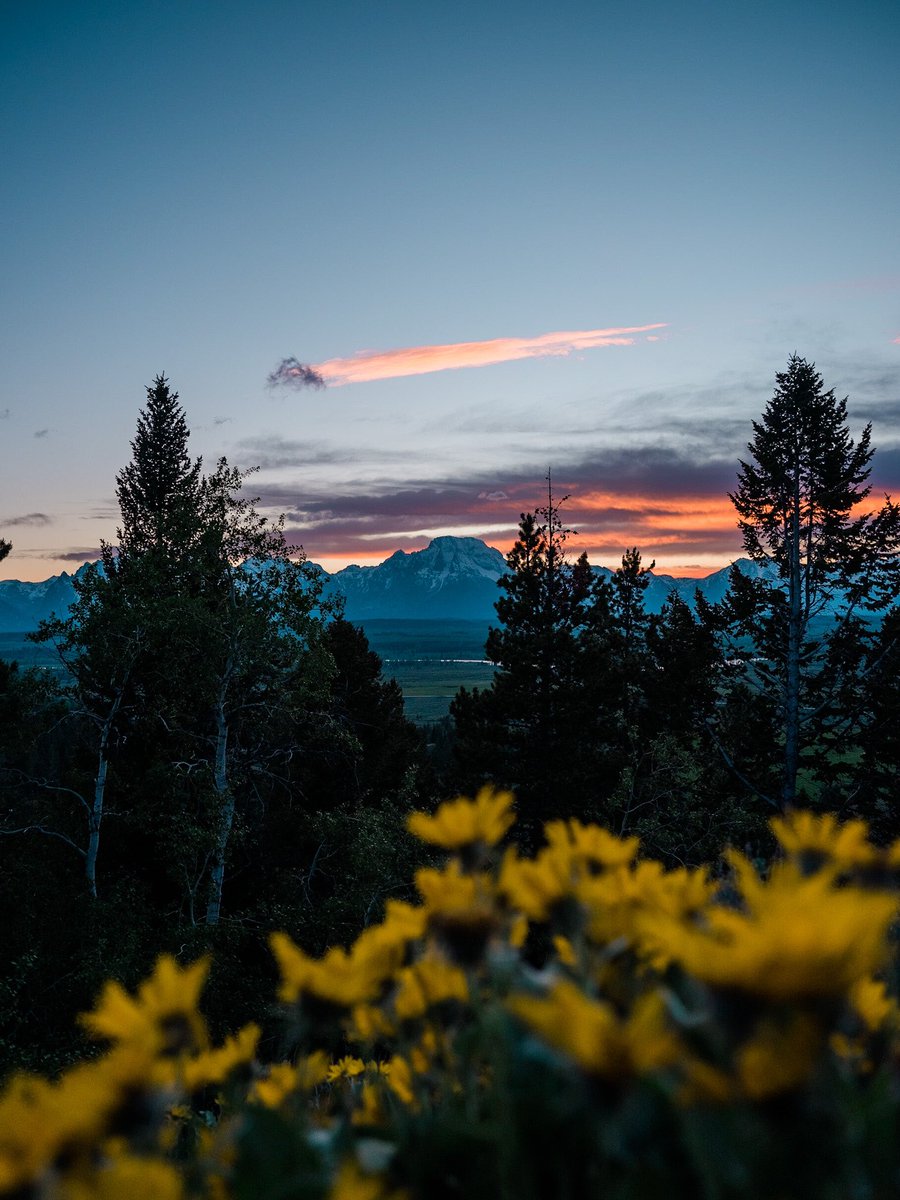 nev_in_color's tweet image. wander out west.