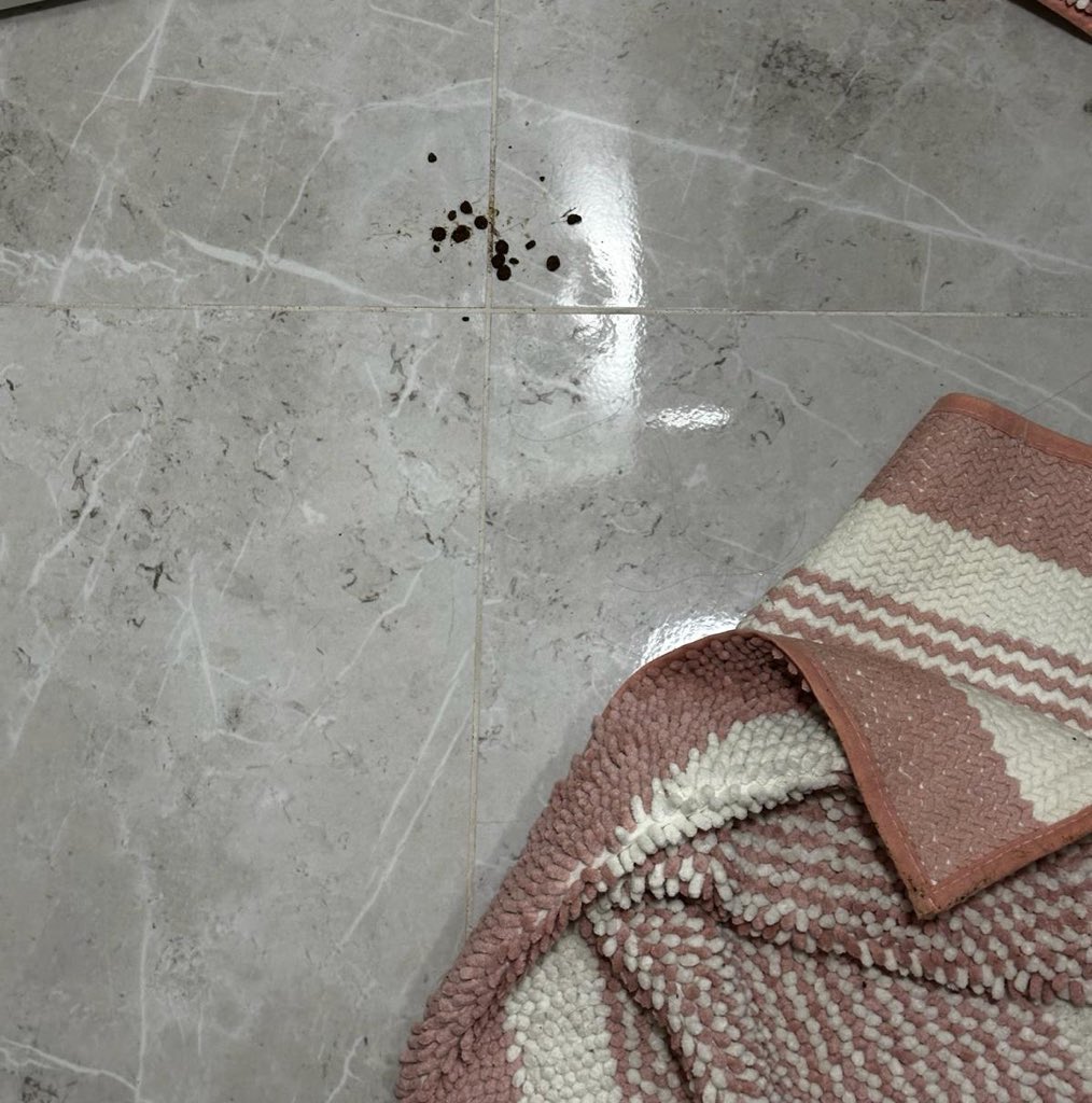 Diyette olduğu için az mama verilen Poça (6), verilen mamaları tek tek taşıyıp banyo paspasının altına saklamış :) şegeri düşünce yemek için :)