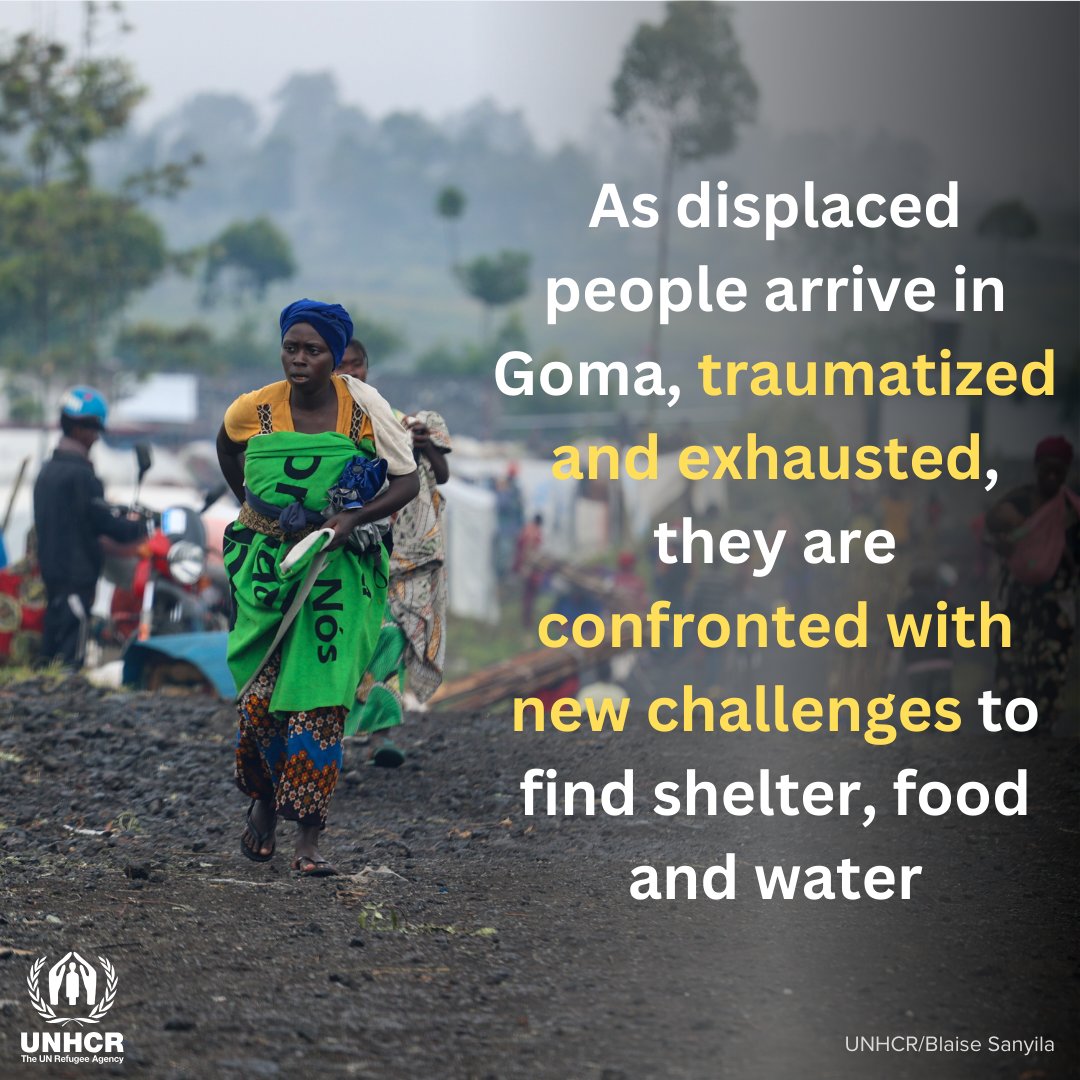 📍 North Kivu Province, #DRC In two years of conflict in #Rutshuru #Masisi territories, more than 1.3 million people have fled violence. In recent weeks, almost 300,000 displaced people have reached settlements in #Goma , and live there in appalling conditions. @UNHCR_DRC